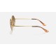 OVAL 1970
Lenses: Light Brown Gradient  +  Frame: Gold