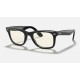 WAYFARER CLEAR EVOLVE
Lenses: Grey Photochromic Classic  +  Frame: Shiny Black