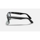 ORIGINAL WAYFARER WASHED LENSES
Lenses: Light Grey Classic  +  Frame: Shiny Black