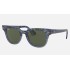 METEOR CLASSIC
Lenses: Green Classic G-15  +  Frame: Blue Gradient Havana