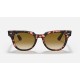 METEOR FLECK
Lenses: Light Brown Gradient  +  Frame: Pink Havana