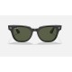 METEOR CLASSIC
Lenses: Green Classic  +  Frame: Black