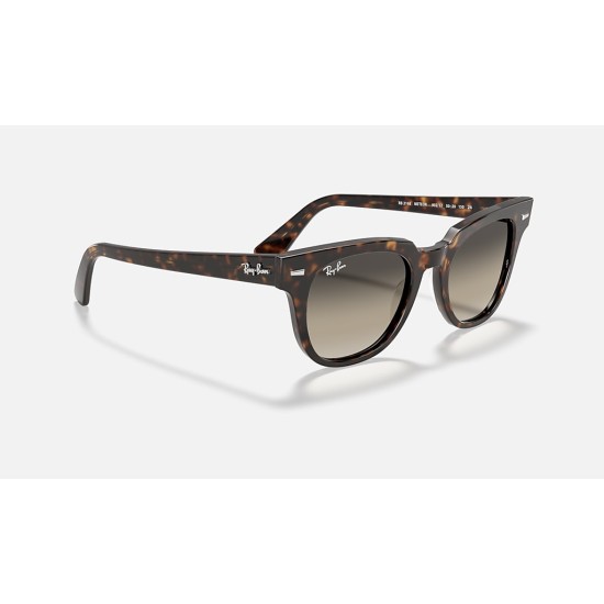 METEOR CLASSIC
Lenses: Light Grey Gradient  +  Frame: Tortoise
