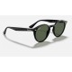RB2180
Lenses: Green Classic  +  Frame: Black