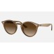 RB2180
Lenses: Brown Gradient  +  Frame: Light Brown