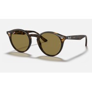 RB2180
Lenses: Brown Classic B-15  +  Frame: Tortoise