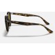 RB2180
Lenses: Brown Classic B-15  +  Frame: Tortoise