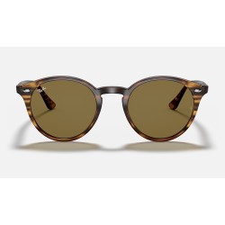 RB2180
Lenses: Brown Classic B-15  +  Frame: Striped Red Havana