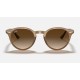 RB2180
Lenses: Brown Gradient  +  Frame: Light Brown