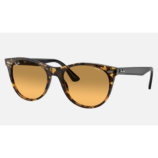 WAYFARER II WASHED EVOLVE
Lenses: Orange Photochromic Gradient  +  Frame: Yellow Havana