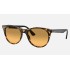 WAYFARER II WASHED EVOLVE
Lenses: Orange Photochromic Gradient  +  Frame: Yellow Havana