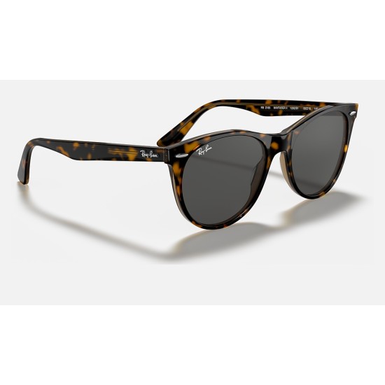 WAYFARER II CLASSIC
Lenses: Dark Grey Classic  +  Frame: Tortoise