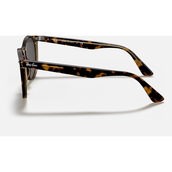 WAYFARER II CLASSIC
Lenses: Dark Grey Classic  +  Frame: Tortoise