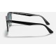 WAYFARER II CLASSIC
Lenses: Blue Gradient  +  Frame: Black