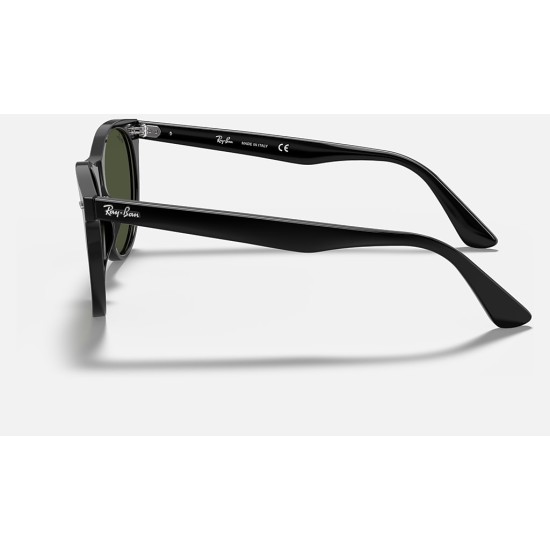 WAYFARER II CLASSIC
Lenses: Green Classic  +  Frame: Black