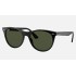 WAYFARER II CLASSIC
Lenses: Green Classic  +  Frame: Black