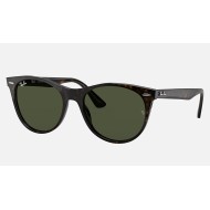 WAYFARER II CLASSIC
Lenses: Green Classic  +  Frame: Tortoise