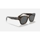 STATE STREETLenses: Dark Grey Classic  +  Frame: Brown Tortoise