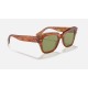 STATE STREET
Lenses: Light Green Classic  +  Frame: Tortoise