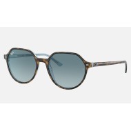 Thalia
Lenses: Blue Gradient  +  Frame: Tortoise