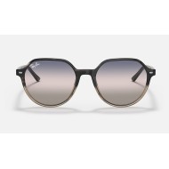 THALIA BI-GRADIENT
Lenses: Pink/Blue Gradient  +  Frame: Grey Havana