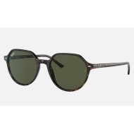 Thalia
Lenses: Green Classic G-15  +  Frame: Tortoise