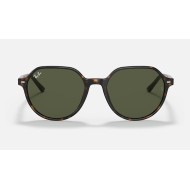 Thalia
Lenses: Green Classic G-15  +  Frame: Tortoise