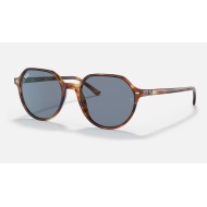 THALIA
Lenses: Blue Classic  +  Frame: Tortoise