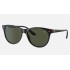 RB2202M SCUDERIA FERRARI COLLECTION
Lenses: Green Classic G-15  +  Frame: Black