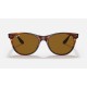 RB2202M SCUDERIA FERRARI COLLECTION
Lenses: Brown Classic B-15  +  Frame: Havana