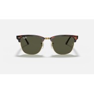 CLUBMASTER CLASSIC
Lenses: Green Classic G-15  +  Frame: Tortoise