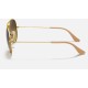 AVIATOR GRADIENT
Lenses: Brown Gradient  +  Frame: Gold