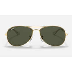 Cockpit
Lenses: Green Classic G-15  +  Frame: Gold