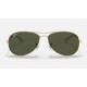 Cockpit
Lenses: Green Classic G-15  +  Frame: Gold