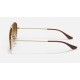 Cockpit
Lenses: Light Brown Gradient  +  Frame: Gold