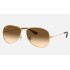 Cockpit
Lenses: Light Brown Gradient  +  Frame: Gold