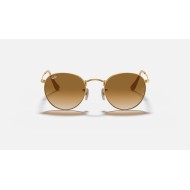 ROUND METAL
Lenses: Light Brown Gradient  +  Frame: Gold