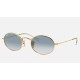 OVAL FLAT LENSES
Lenses: Light Blue Gradient  +  Frame: Gold