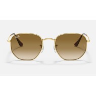 Hexagonal
Lenses: Light Brown Gradient  +  Frame: Gold