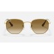 Hexagonal
Lenses: Light Brown Gradient  +  Frame: Gold