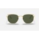 HEXAGONAL LEGEND GOLD
Lenses: Green Classic G-15  +  Frame: Gold