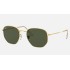 Hexagonal
Lenses: Dark Green Classic  +  Frame: Gold