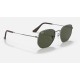 HEXAGONAL
Lenses: Green Classic G-15  +  Frame: Gunmetal