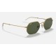 OCTAGONAL LEGEND GOLD
Lenses: Green Classic G-15  +  Frame: Gold