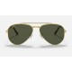 NEW AVIATOR
Lenses: Green Classic  +  Frame: Legend Gold