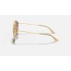 ROUND DOUBLE BRIDGE
Lenses: Brown Gradient  +  Frame: Gold