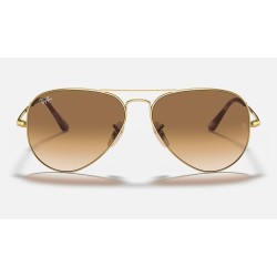 AVIATOR METAL II
Lenses: Light Brown Gradient  +  Frame: Gold