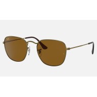 FRANK ANTIQUED
Lenses: Brown Classic B-15  +  Frame: Antique Gold