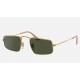 Julie
Lenses: Green Classic G-15  +  Frame: Legend Gold