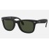 WAYFARER FOLDING CLASSIC
Lenses: Green Classic G-15  +  Frame: Black